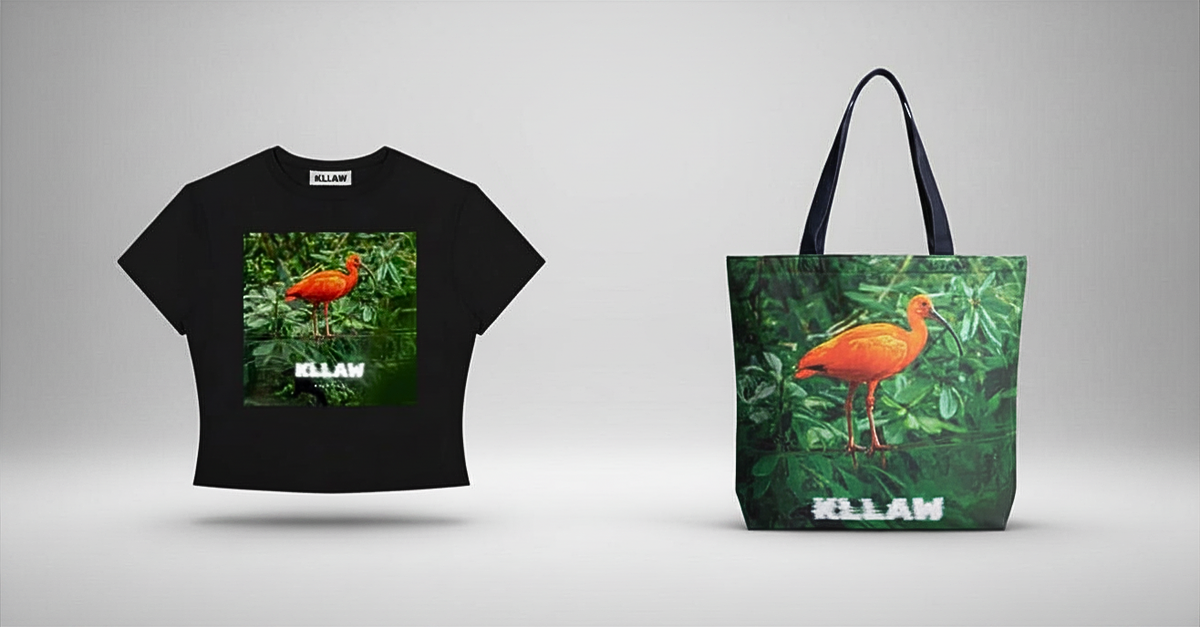 Limted Edition: KLLAW x MyFathersOldCamera Birds of Prey Tote +  The Crop